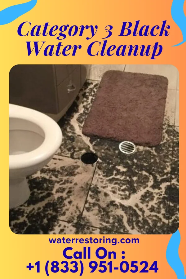 Category 3 Black Water Cleanup in Convoy, OH