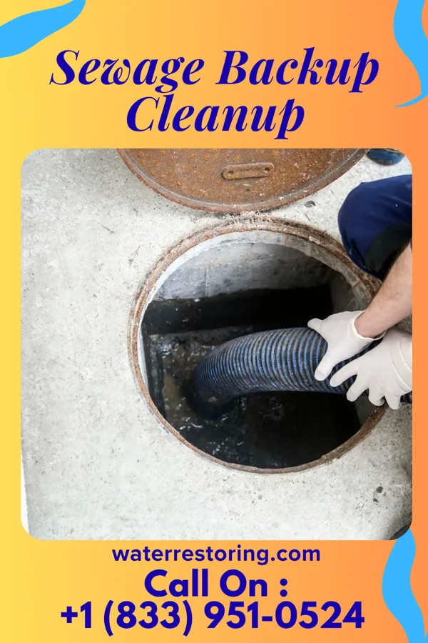 Sewage Backup Cleanup in Convoy, OH