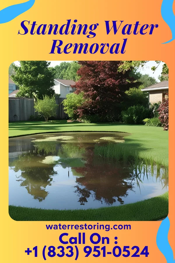 Standing Water Removal in Convoy, OH
